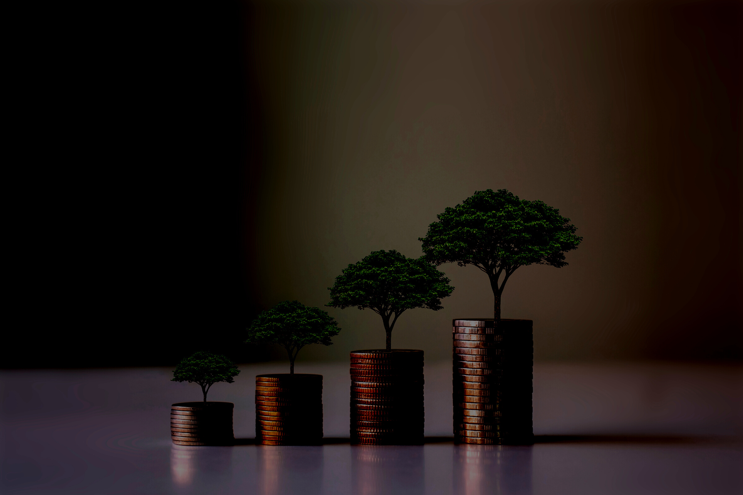 Growing Sustainable Investment Concept