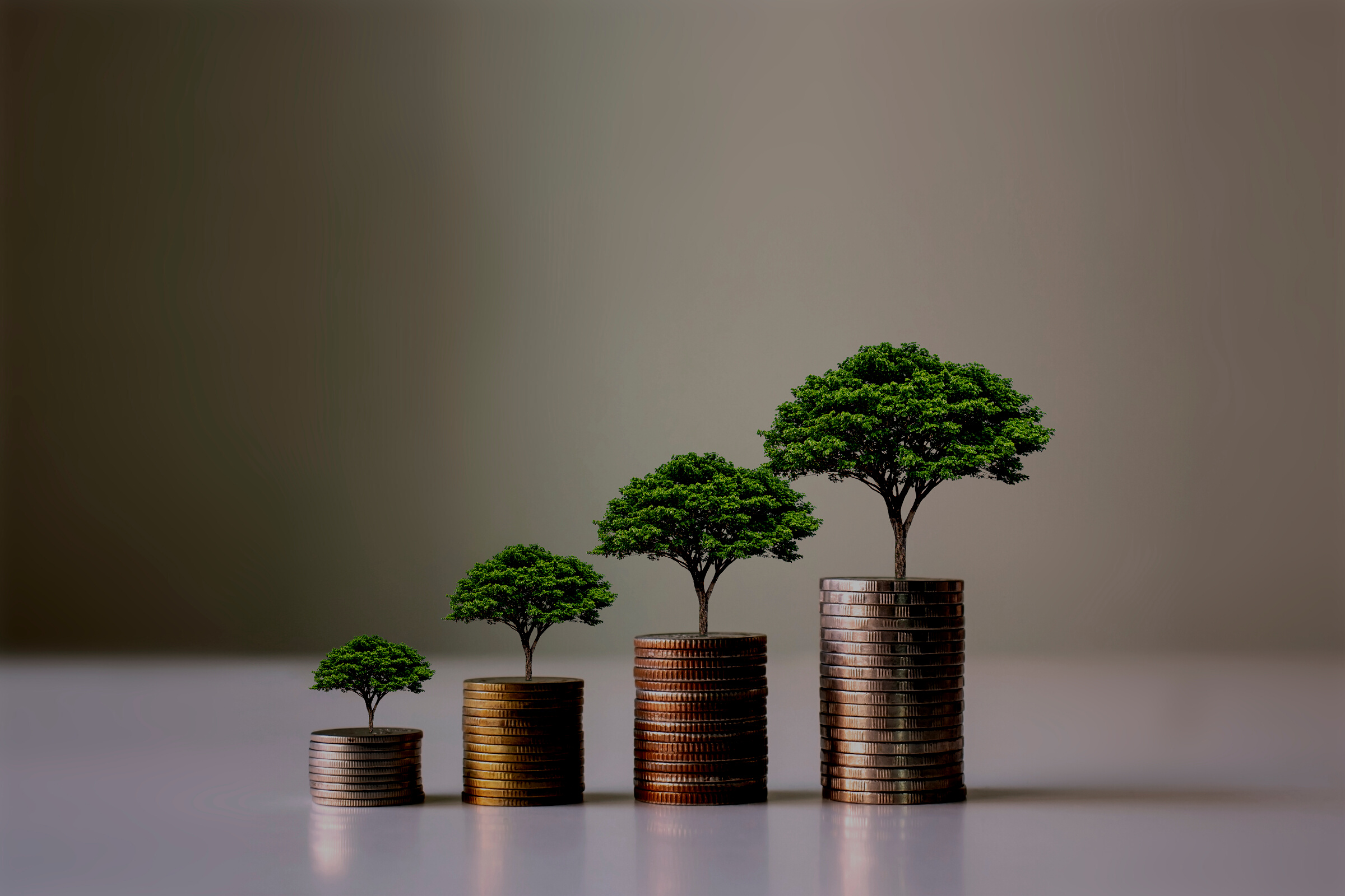 Growing Sustainable Investment Concept